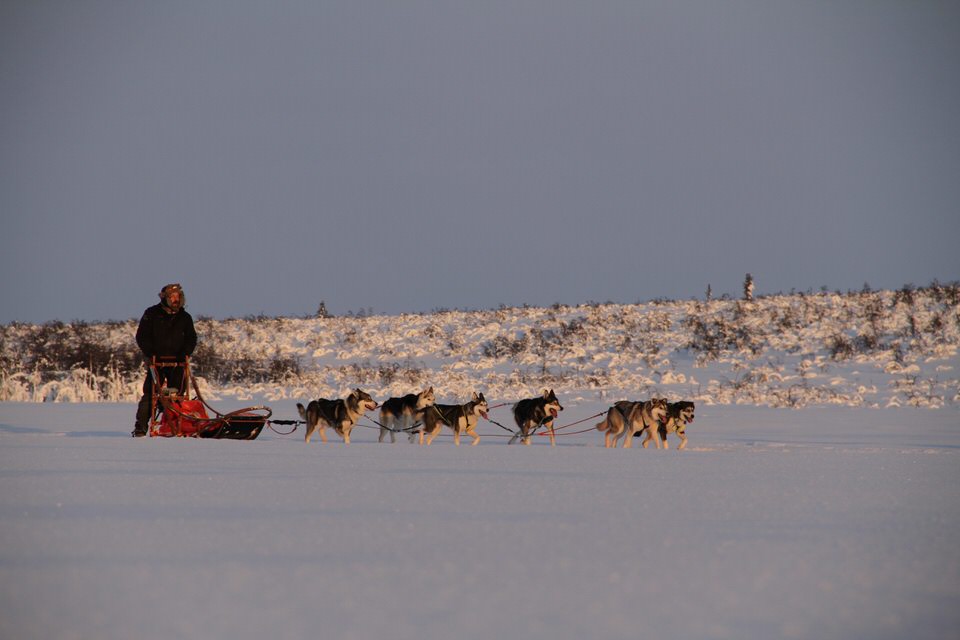 Warts and all account of the sleigh ride from hell