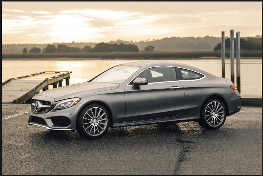 Kezza Toron, rescued from the lantana, is finally on the loose