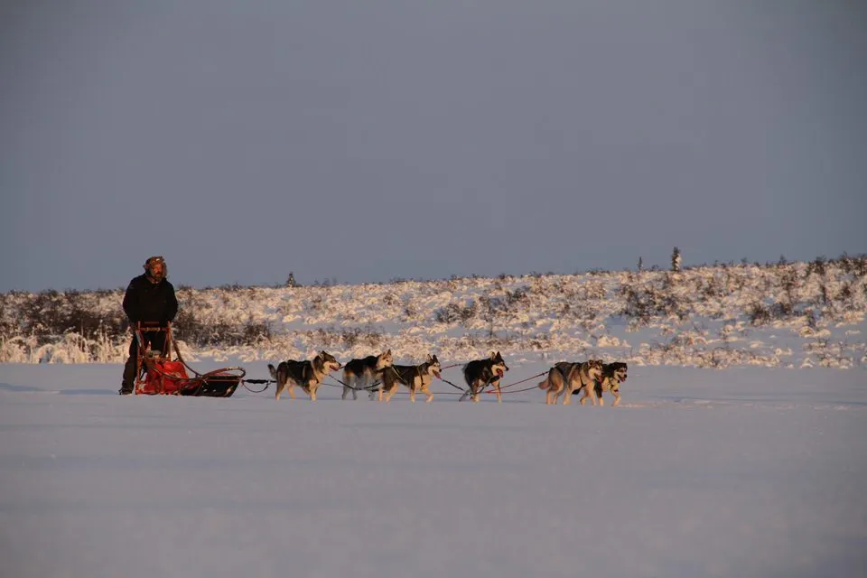 Warts and all account of the sleigh ride from hell